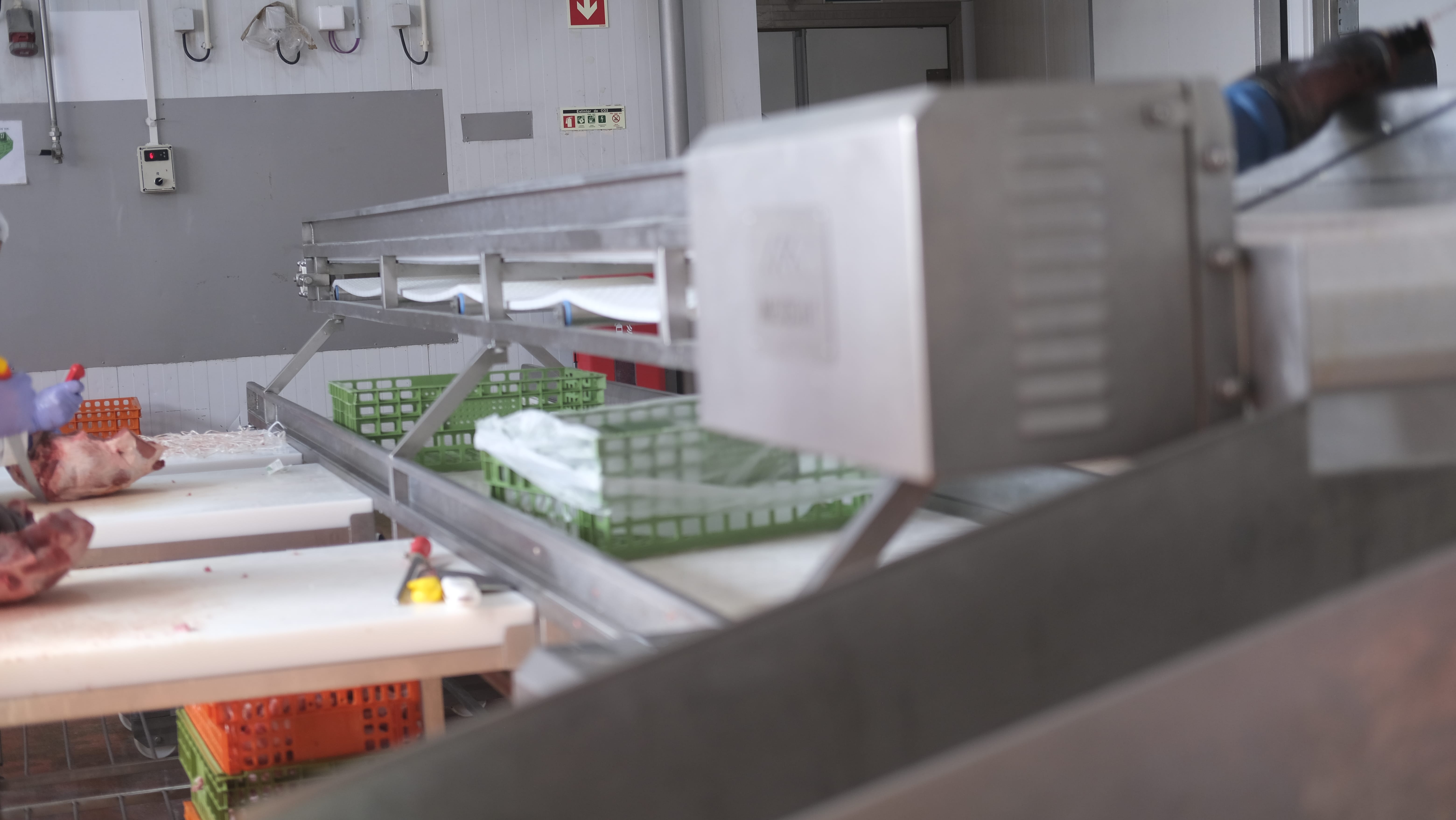 Linha de Processamento Savigal